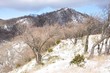 Photo: 雪の塔ノ岳 雪の塔ノ岳
