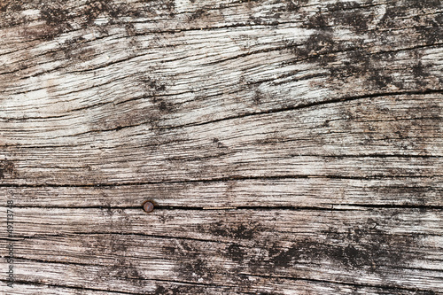 Photo: Wood texture Wood texture