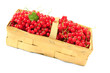 Rote Johannisbeeren