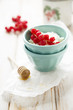Fresh cottage cheese with red currant and honey