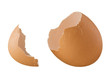 Eggshell isolated on white background