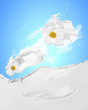 Image of milk splashes
