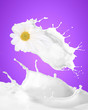 Image of milk splashes