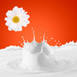 Image of milk splashes