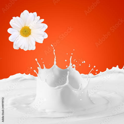 Photo: Image of milk splashes Image of milk splashes