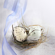 wachteleier aus schokolade zu ostern