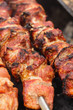Shashlik closeup