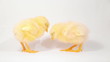 Chicken kiss