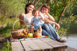 Family on picnic
