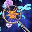 Buscar Virus