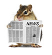 Photo: Funny chipmunk read newspaper Funny chipmunk read newspaper