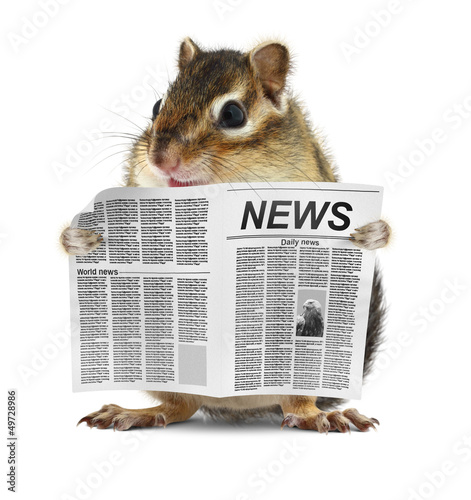 Photo: Funny chipmunk read newspaper Funny chipmunk read newspaper