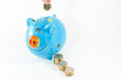 HUCHA DE AHORROS