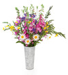 Spring Wildflowers