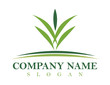 landscaping design