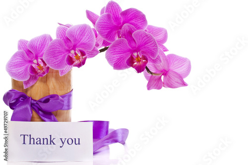 Photo: Phalaenopsis flowers Phalaenopsis flowers