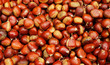 Pile of Brown Chestnuts