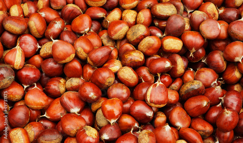 Photo: Pile of Brown Chestnuts Pile of Brown Chestnuts