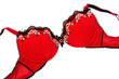 Stylish bra