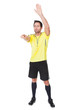 Soccer judge whistling