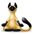 loto gatto