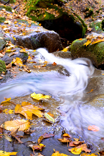 Photo: Wildbach Wildbach