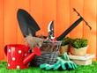Garden tools on grass in yard