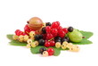 Beeren obst