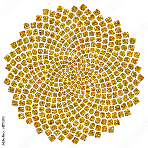 Illustration: Sonnenblumen - Samen - Fibonacci-Spirale - Goldener Schnitt Sonnenblumen - Samen - Fibonacci-Spirale - Goldener Schnitt
