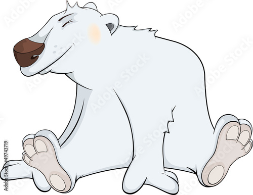 Vector: Polar bear cartoon Polar bear cartoon
