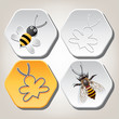 Vector Symbols Of Bee On Honey...