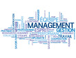 Nuage de Tags "MANAGEMENT" (équipe gestion ressources humaines)