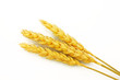 Simply grain
