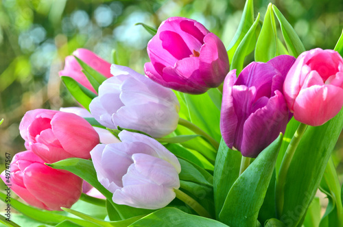Photo: Tulpen, ganz nah Tulpen, ganz nah