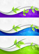 spring line