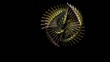 Fractal Structures Animation