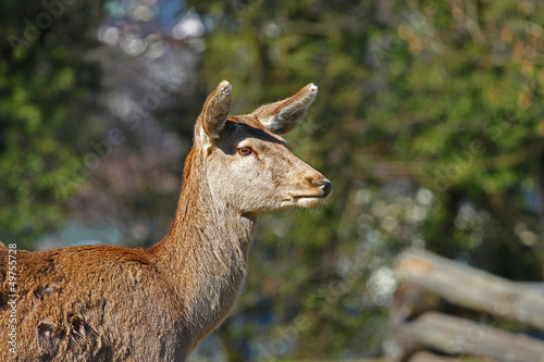 Photo: Reh Reh