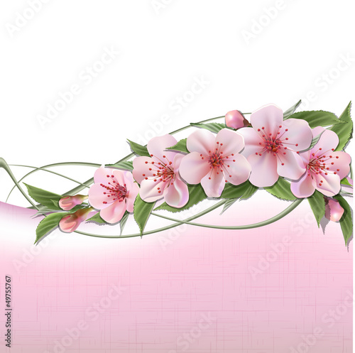 Vector: Spring background with pink cherry flowers Spring background with pink cherry flowers