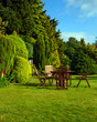 English garden