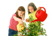 children watering plants