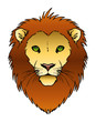 Lion Illustration