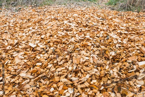 Photo: Woodchips after harvesting and shredding trees Woodchips after harvesting and shredding trees
