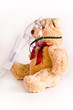 Oxygen mask and a bear