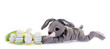Plüsch-Osterhase mit Ostereiern