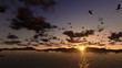 Ducks flying, timelapse clouds with sea and mountain ridge