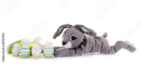 Photo: Plüsch-Osterhase mit Ostereiern Plüsch-Osterhase mit Ostereiern
