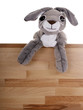 Kuschelhase/Osterhase sieht über Holzwand