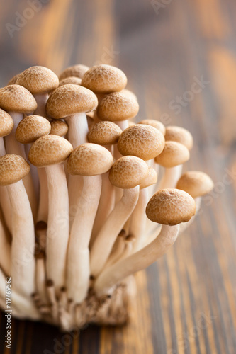 Photo: Brown beech mushrooms Brown beech mushrooms