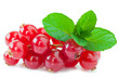 Redcurrant with mint