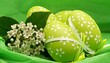 Foto: Huevos decorados Huevos decorados